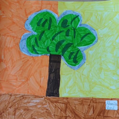 Baum