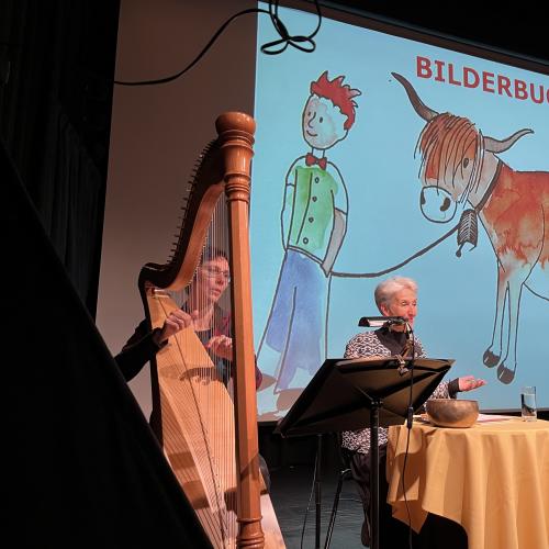 Bilderbuch im Kino