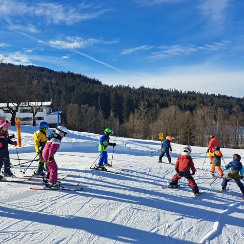 Skifahren 