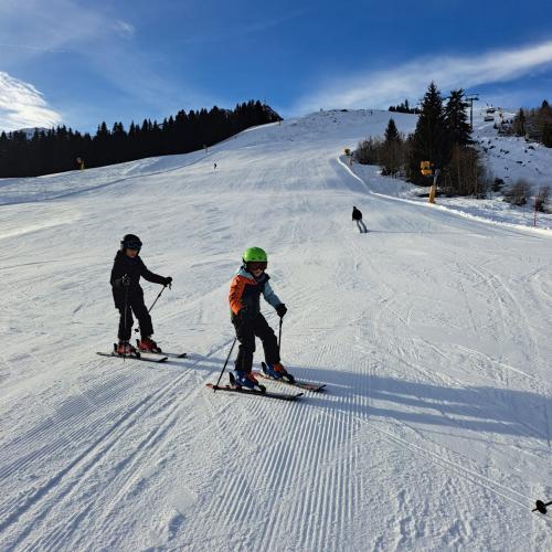 Skifahren
