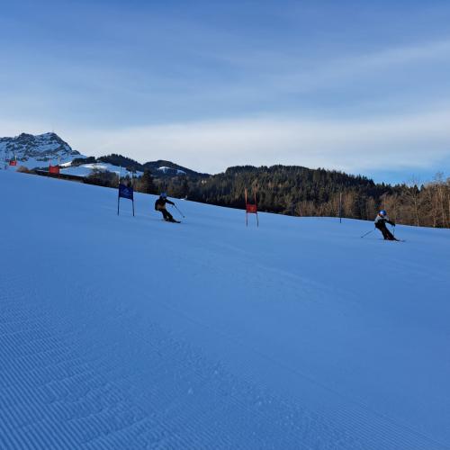 Riesentorlauf
