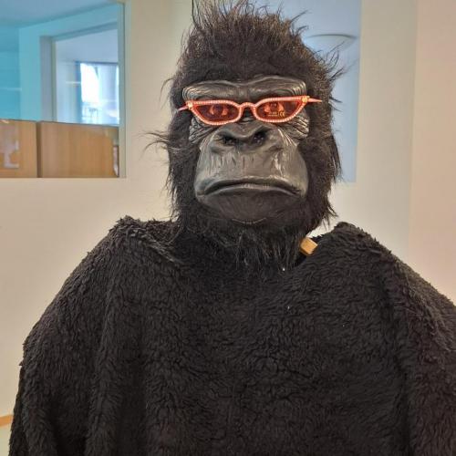 Gorilla