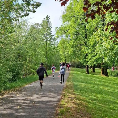 Lauf 4