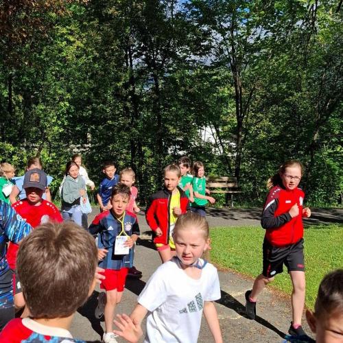Lauf 12