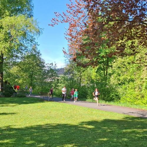 Lauf 8