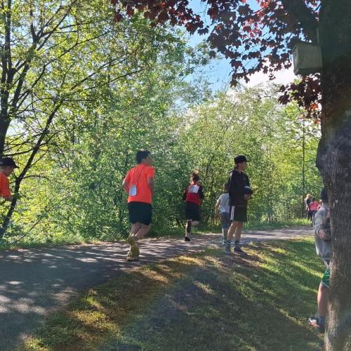 Lauf 11