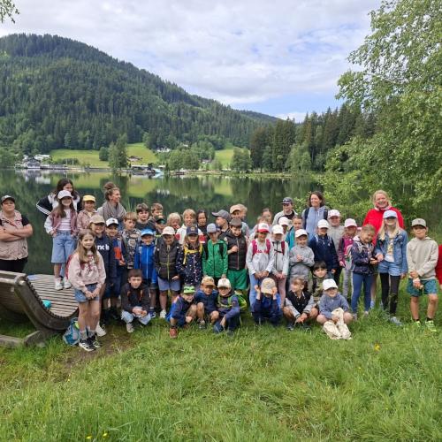 1b und 4c