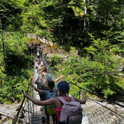 Brücke 4d