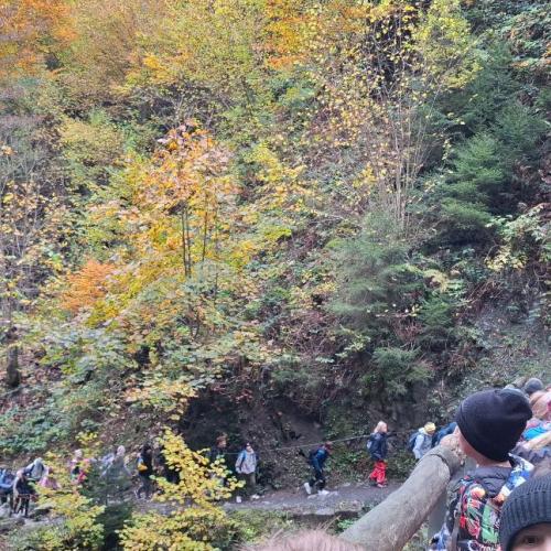 Wandertag