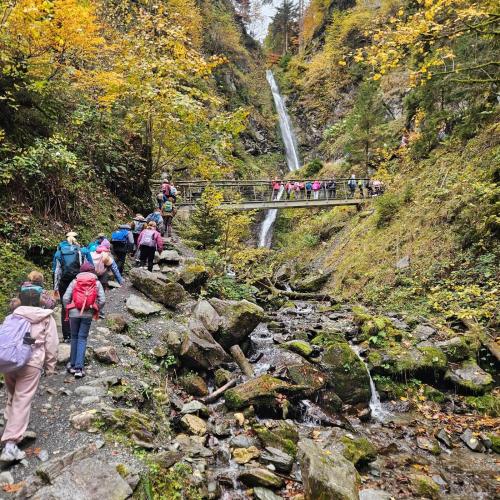 Wandern