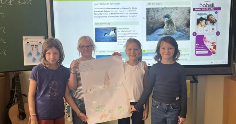 Workshop Wildtiere